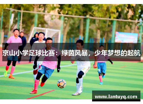 京山小学足球比赛：绿茵风暴，少年梦想的起航