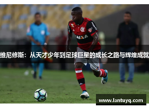 维尼修斯：从天才少年到足球巨星的成长之路与辉煌成就